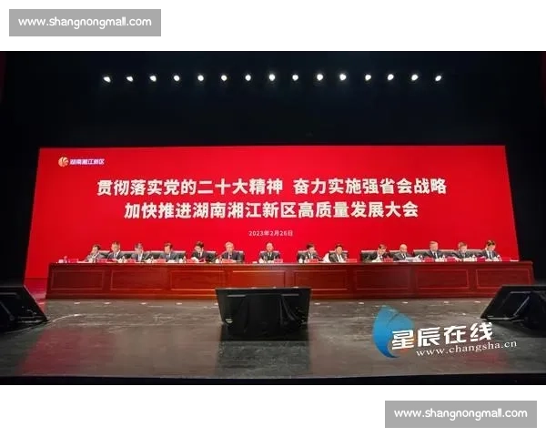 构建多元协同机制推动足球青训体系高质量发展促进全民参与提升力