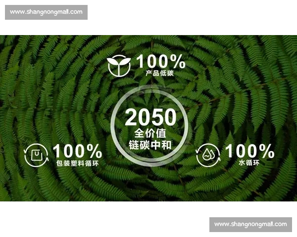 电竞赛事可持续发展战略与产业生态协同创新机制研究探索路径实践